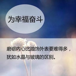感恩公司勵(lì)志正能量的句子