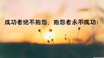 勵志的說說正能量經(jīng)典句子,早上勵志的說說正能量經(jīng)典句子,讀書正能量經(jīng)典勵志句子
