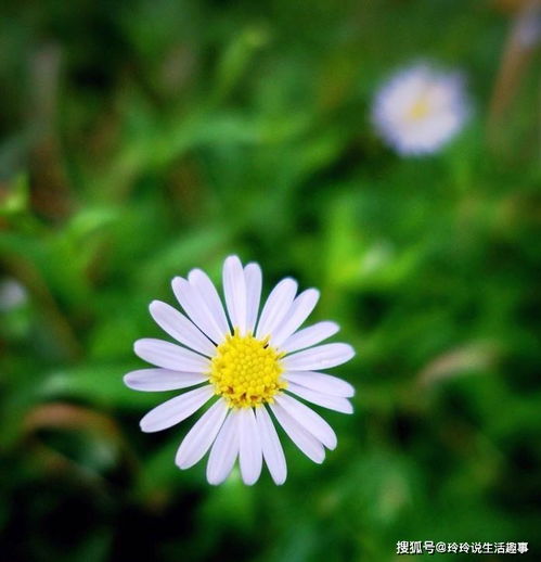 有深度有涵養(yǎng)的正能量句子,有深度正能量的句子經(jīng)典語(yǔ)句,有深度搞笑正能量句子