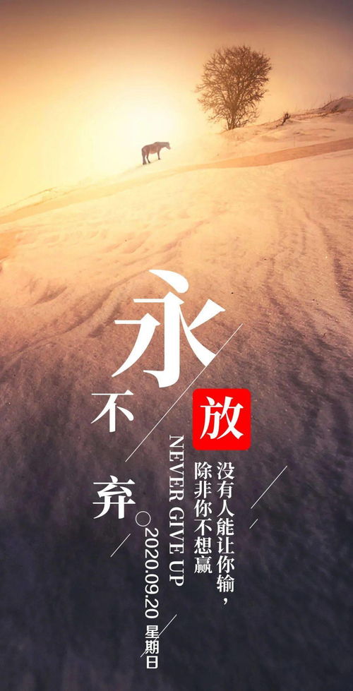 下午發(fā)朋友圈的句子正能量陽光