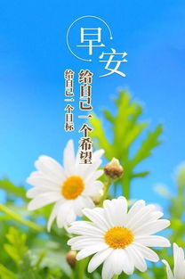 正能量早上問(wèn)好句子經(jīng)典語(yǔ),早上問(wèn)好的正能量句子,早上問(wèn)好句子祝福正能量