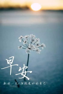 簡(jiǎn)短正能量勵(lì)志易經(jīng)句子