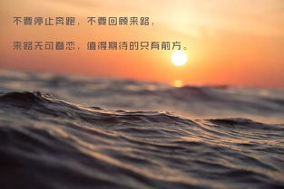 英文正能量句子語錄集