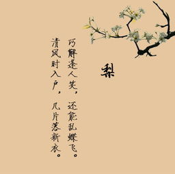 正能量有深度的句子名言,團隊精神正能量的句子名言,激勵上進正能量句子名言