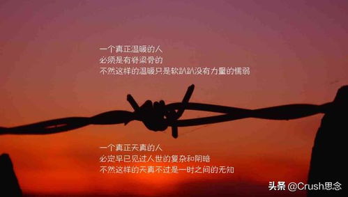 句子,能量,團隊,快樂