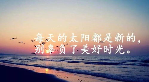 激勵(lì)人心的句子經(jīng)典語(yǔ)錄正能量