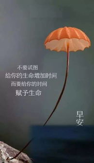 充滿陽光的正能量的句子,新的一天新的希望正能量的句子,含有希望的正能量句子