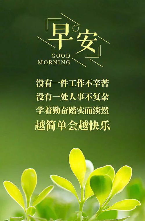 合作正能量句子