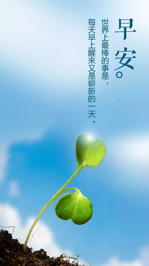 早安正能量的勵(lì)志句子帶圖