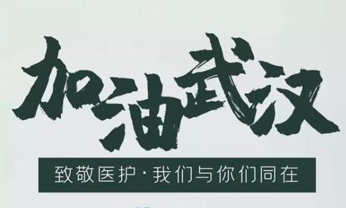 武漢,句子,能量