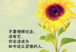 早安,句子,心語,能量