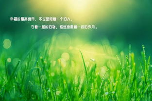 正能量集陽光的句子