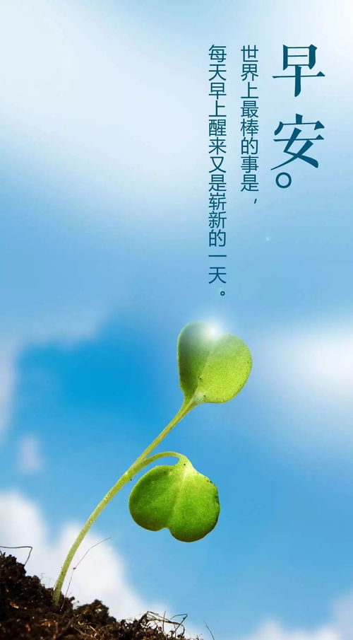 句子,能量,心情,情感