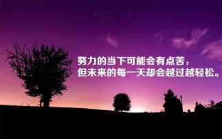 句子,能量,表達(dá),女人