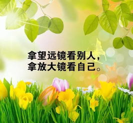 早安陽(yáng)光勵(lì)志正能量的句子