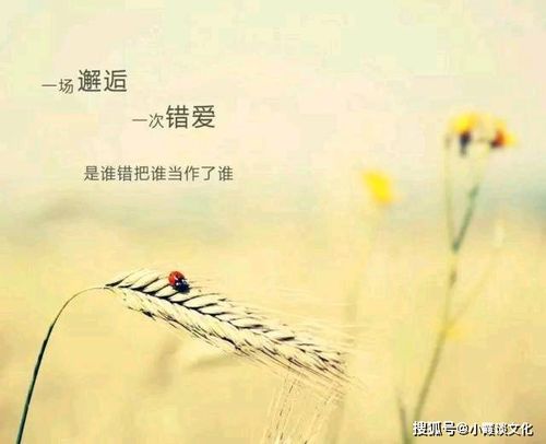 鼓勵表揚(yáng)孩子的正能量句子,表揚(yáng)孩子積極向上正能量句子,表揚(yáng)團(tuán)隊精神正能量的句子