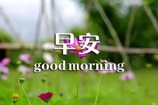 句子,勵志,能量,個(gè)性