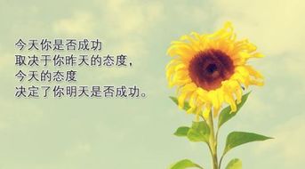 積極向上正能量的優(yōu)美句子