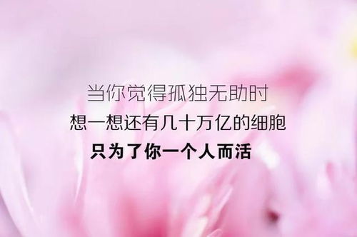 形容有素質(zhì)有教養(yǎng)的句子,有教養(yǎng)的人的句子,有教養(yǎng)的罵人的句子