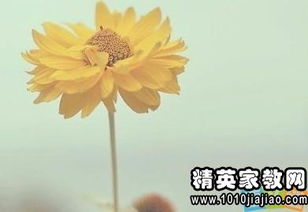 正能量的句子摘抄,愛國正能量句子摘抄,正能量長句子摘抄