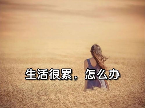 關于累的正能量句子
