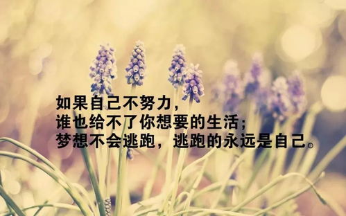 句子,勵(lì)志,早上起來(lái),能量