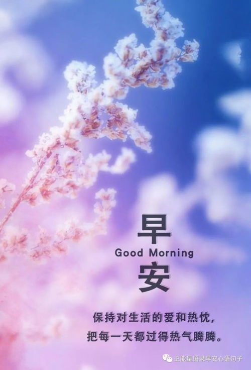 早安激勵上進(jìn)正能量句子簡短,激勵上進(jìn)正能量句子早安語,早安激勵正能量的句子