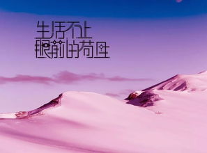簡(jiǎn)短,句子,能量,銷售