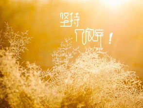 陽光正能量簡短句子