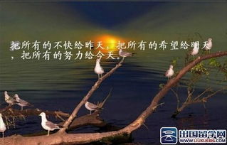愛情傳遞正能量的句子