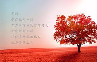 努力的句子正能量說說心情短語,努力生活正能量的說說心情短語,一個(gè)人正能量的句子說說心情短語
