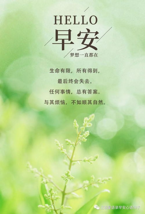 鼓勵孩子讀書的正能量句子,鼓勵表揚孩子的正能量句子,鼓勵孩子閱讀的正能量句子