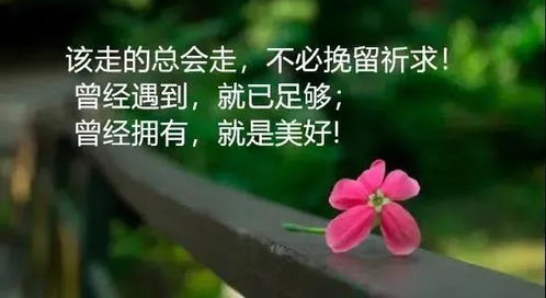 遠離沒有正能量的人句子,遠離負能量,正能量句子,正能量遠離負能量的人的句子