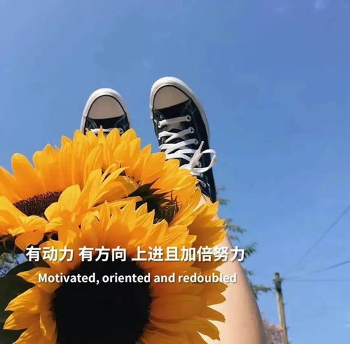 關(guān)于培訓(xùn)結(jié)束的正能量句子