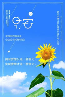 織毛線正能量的句子