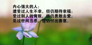 放下浮躁正能量句子,放下煩惱的正能量句子,放下怨恨的正能量句子