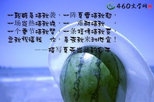 有關(guān)夏天音樂(lè)正能量的句子