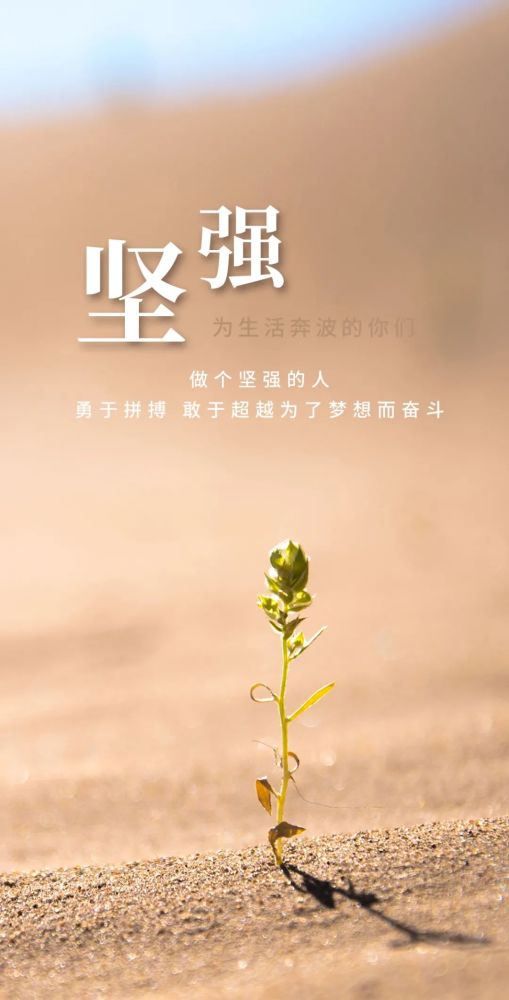 努力的句子經典語錄正能量