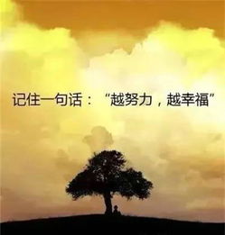 武俠正能量的句子