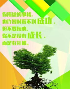 太陽大正能量句子