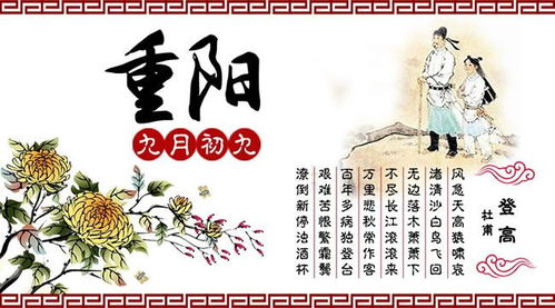 重陽(yáng)節(jié),孝順,句子,能量