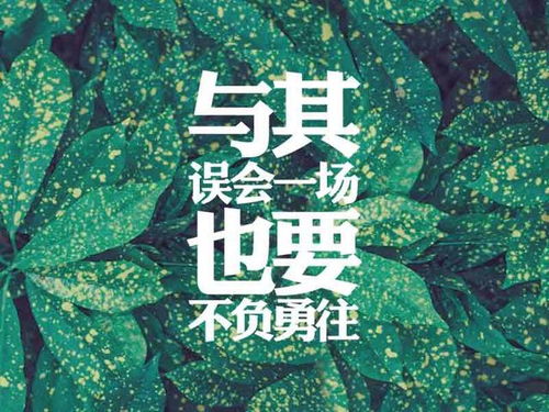 關(guān)于堅(jiān)持的正能量句子,正能量優(yōu)秀句子,正能量滿滿的勵(lì)志句子