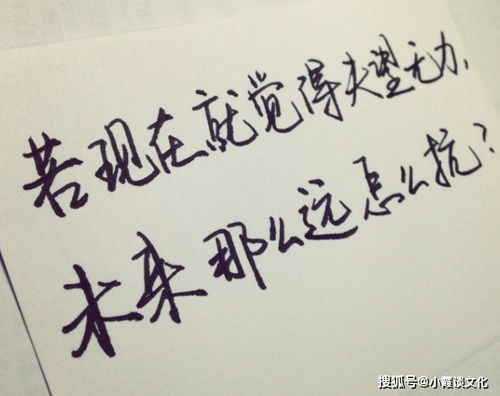 英語,句子,能量,女生