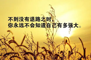 古風,句子,能量,考研