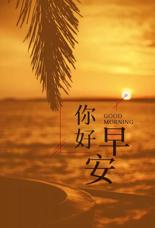關(guān)于孤獨(dú)的正能量句子說說心情