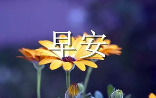 周末早安心語(yǔ)簡(jiǎn)單一句話正能量句子