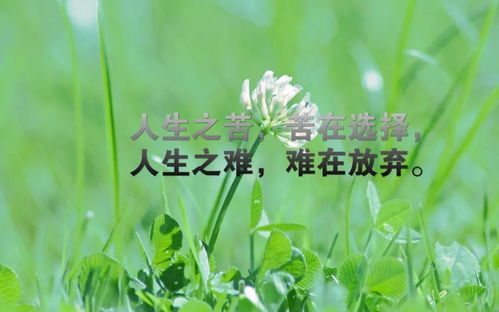 結(jié)婚正能量句子