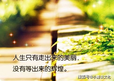 關于車的正能量句子,正能量滿滿的勵志句子,雨天幽默正能量的句子