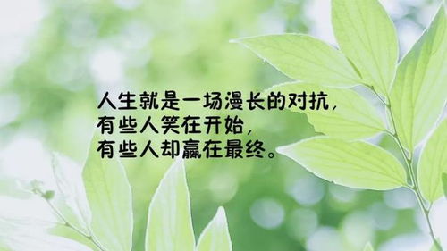發(fā)圈句子正能量