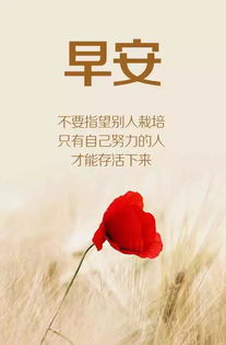 早安發(fā)朋友圈正能量句子勵志,早安發(fā)朋友圈正能量句子簡單,發(fā)朋友圈早安的正能量句子和